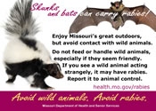 Avoid wild animals. Avoid rabies.