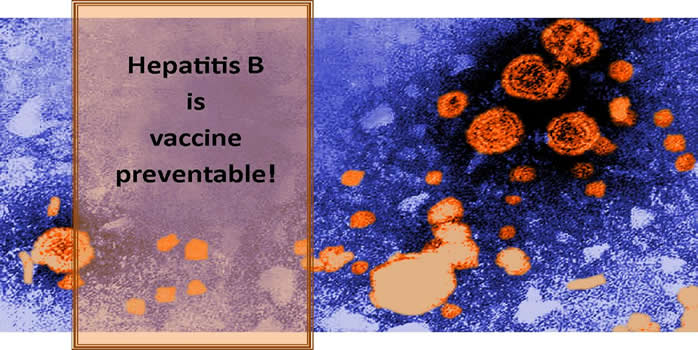 Hepatitis B | Health & Senior Services