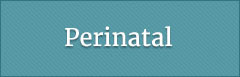 Perinatal Heptatitis Information