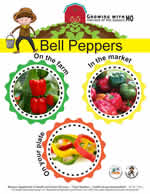 bell peppers poster