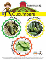 cucumber poster