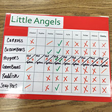 little-angels-tast-test