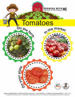 tomato poster