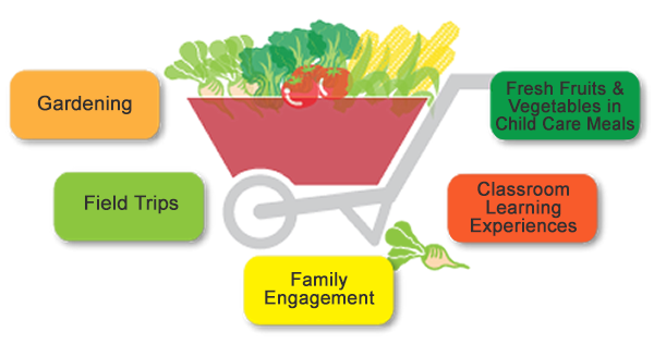 wheelbarrow
