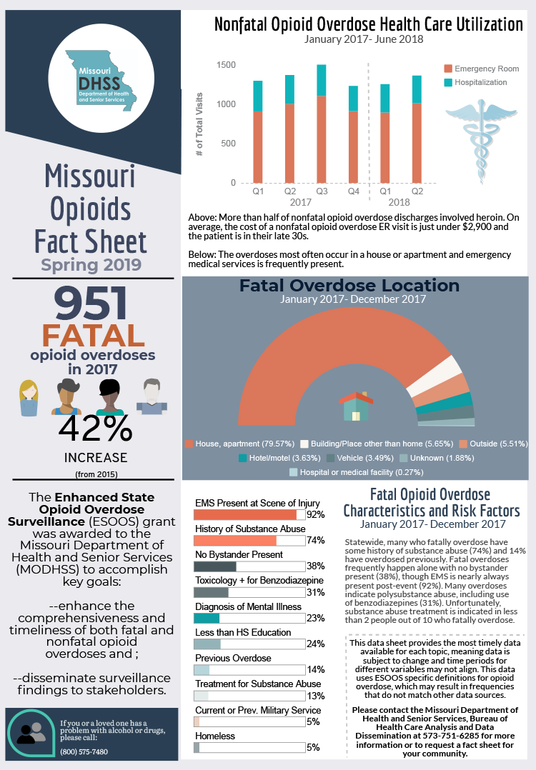 State And County Opioids Fact Sheets Opioids Missouri Department Of Health Senior Services
