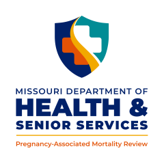pregnancy-associated mortality review dhss logo