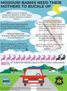 seat belt safety fact sheet thumbnail