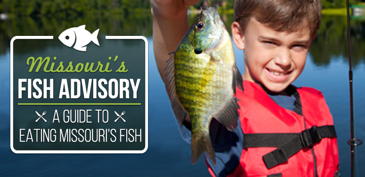 Fish Advisory