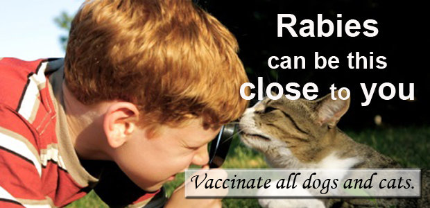 Rabies can be this close to you Vaccinate all dogs and cats