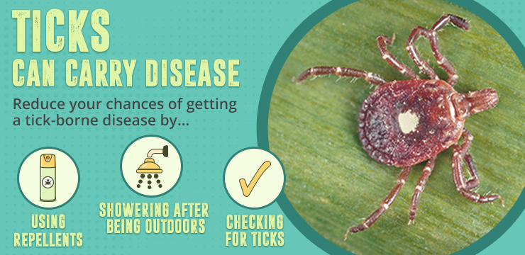 Ticks can carry disease, reduce your chances of getting a tick-borne disease