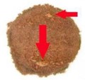 an example of a specimen that had the filter scratched, torn or abraded