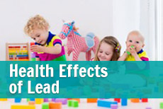 Health Effects of Lead