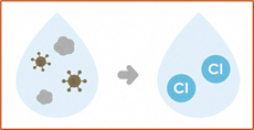 Image depicting a droplet of water with germs and a droplet of water with chlorine, showing that chlorine kills germs in water.