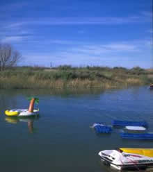 picture of a pond with floaties and raft