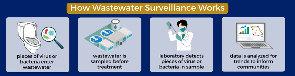 Image illustrates the steps of wastewater surveillance. Pieces of virus or bacteria enter the wastewater, wastewater is sampled before treatment, laboratory detects pieces of virus or bacteria in sample, then data is analyzed for trends to inform communities.