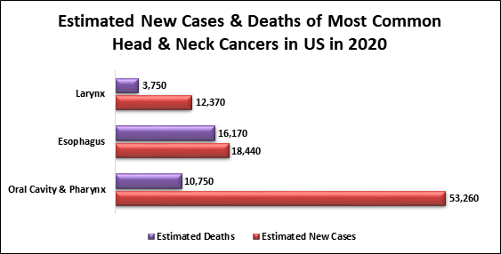chart showing estimated new cases and deaths of most common head and neck cancers in US in 2020