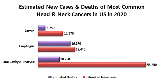 Head And Neck Cancer Cancer Screening And Prevention Health 