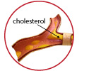 cholesterol logo