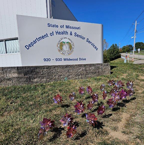 DHSS displays pink pinwheels in honor of Breast Cancer Awareness Month