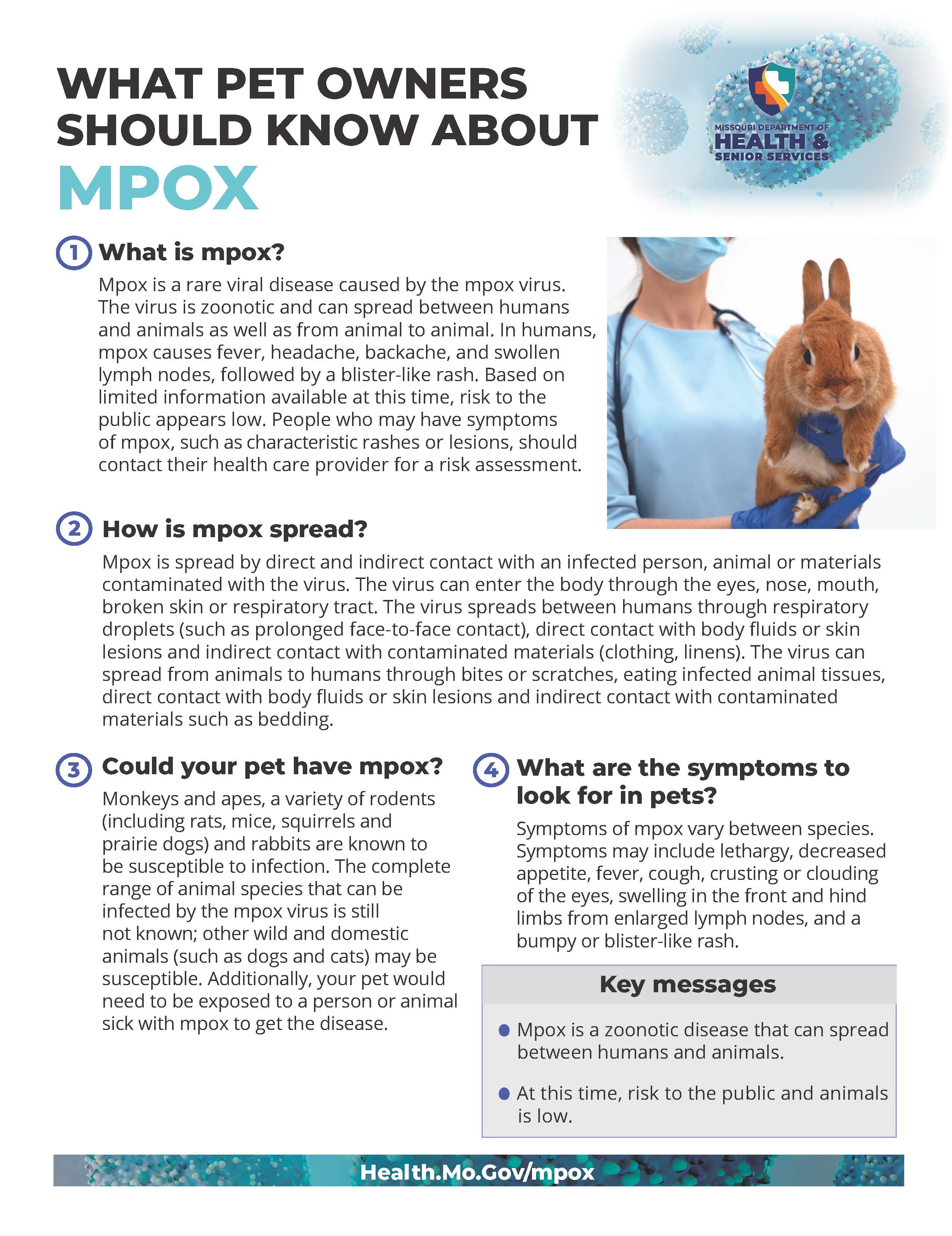 What Pet Owners Should Know About Monkeypox