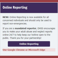 Protect Adults in Need - Online Reporting