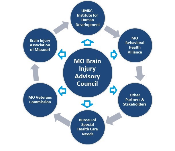 MO Brain Injury Advisory Council flow chart