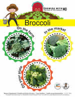 broccoli poster