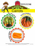 carrots poster