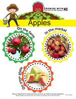 order your apple mini poster for the crunch