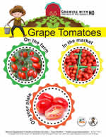 grape tomato poster