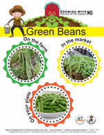 green beans poster