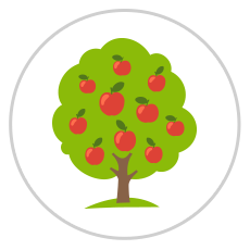 thumbnail of the Apple Tree