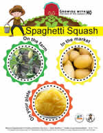 spaghetti squash poster