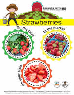 strawberry poster