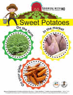 sweet potatotes poster