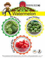 watermelon poster