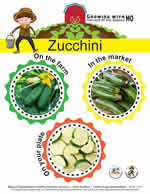 zucchini poster