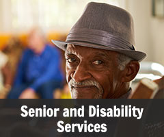 Division 15 Senior and Disability Services