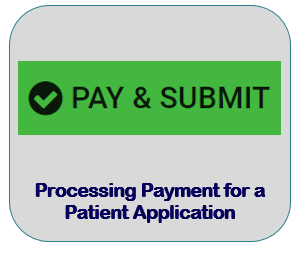 Processing Payment for a Patient Application