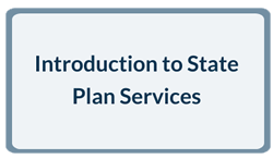 Introduction to State Plan Services