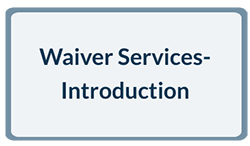 Waiver Services - Introduction