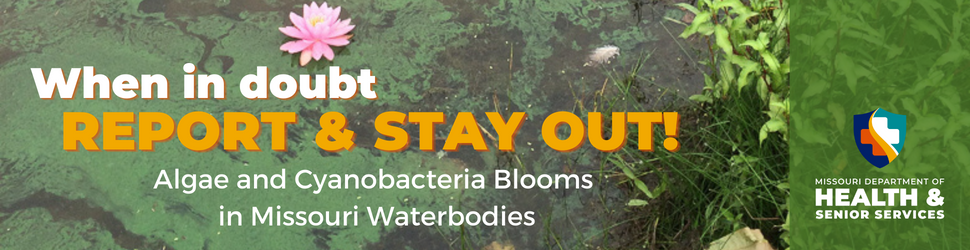 when in doubt stay out of algal blooms 