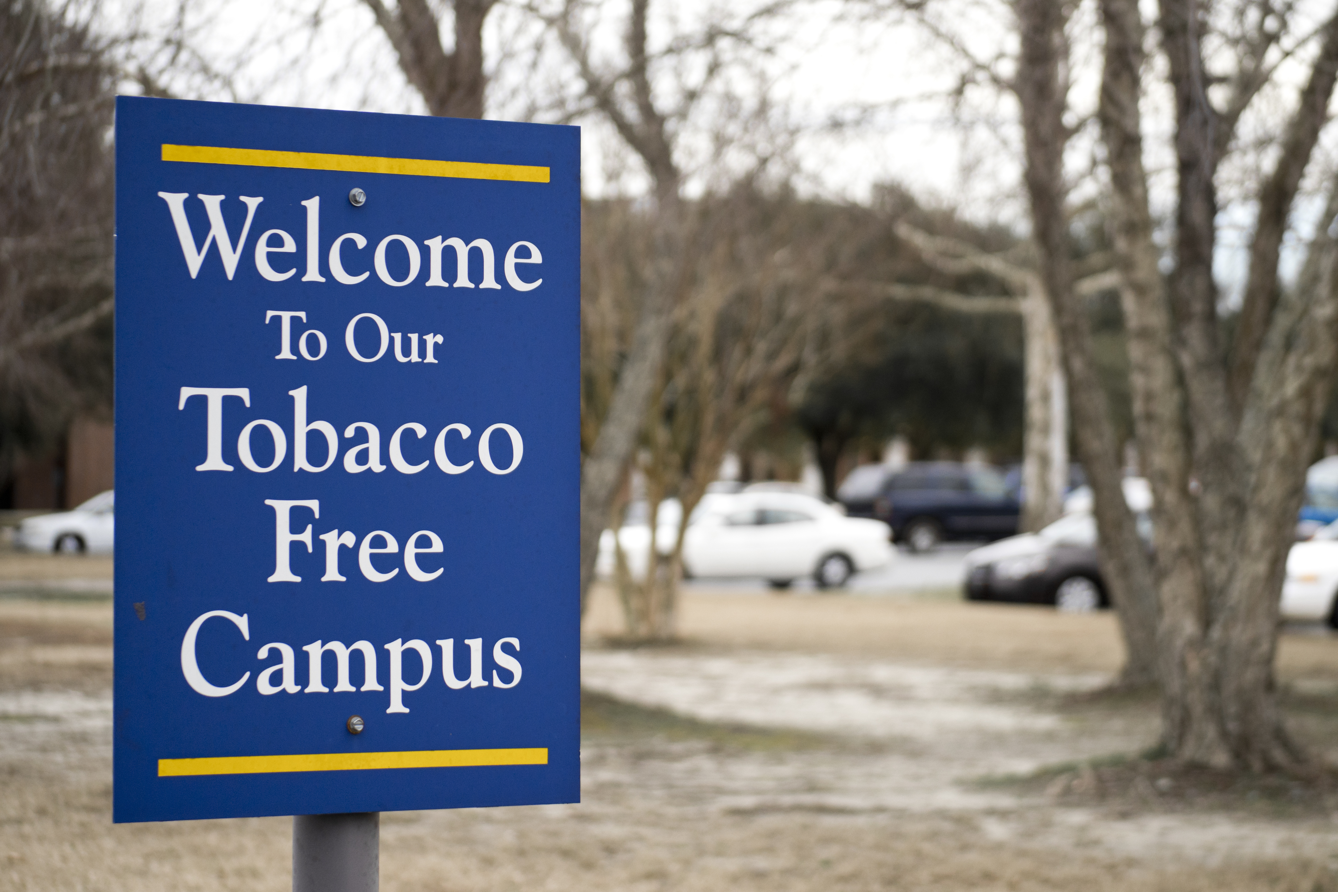 Tobacco Free Campus sign