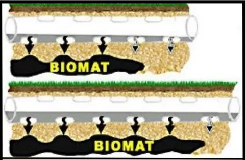 Illustration of bio-mats.