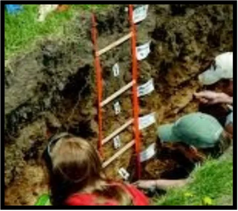 Image of a soil evaluation being performed.