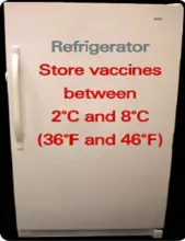 Infographic displaying proper temperatures for storing vaccines in a refrigerator: between 2ºC and 8ºC, or 36ºF to 46ºF