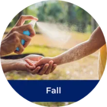 Fall